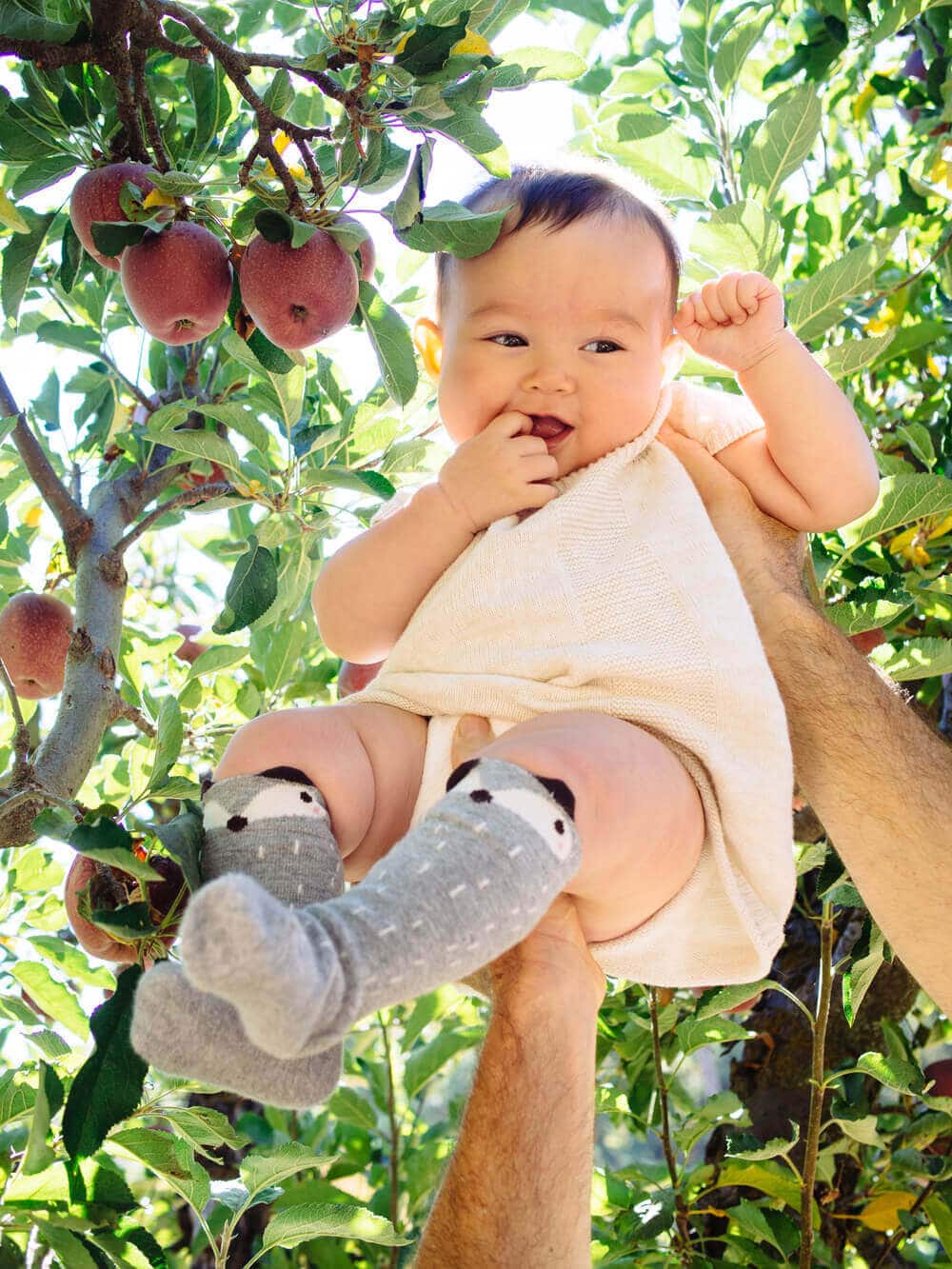 Gemma at seven months old.