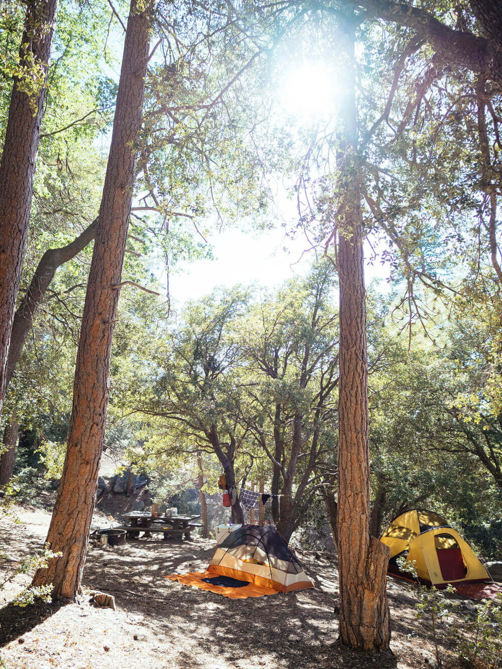 Marion Mountain Campground in Idyllwild, California
