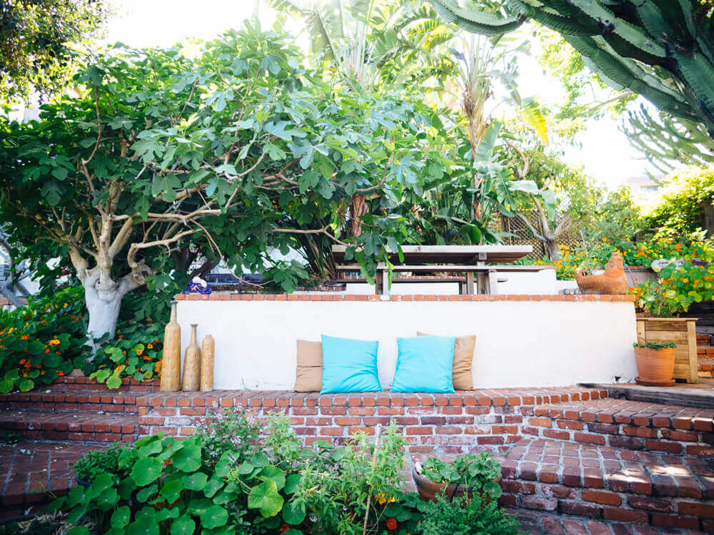 A quiet sitting area under the fig tree