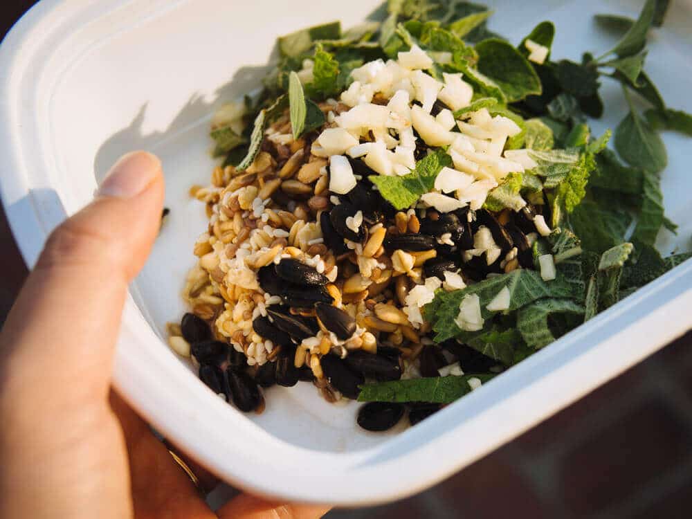 Fermented feed grains, finely chopped fresh garlic, and fresh herbs for immune system support