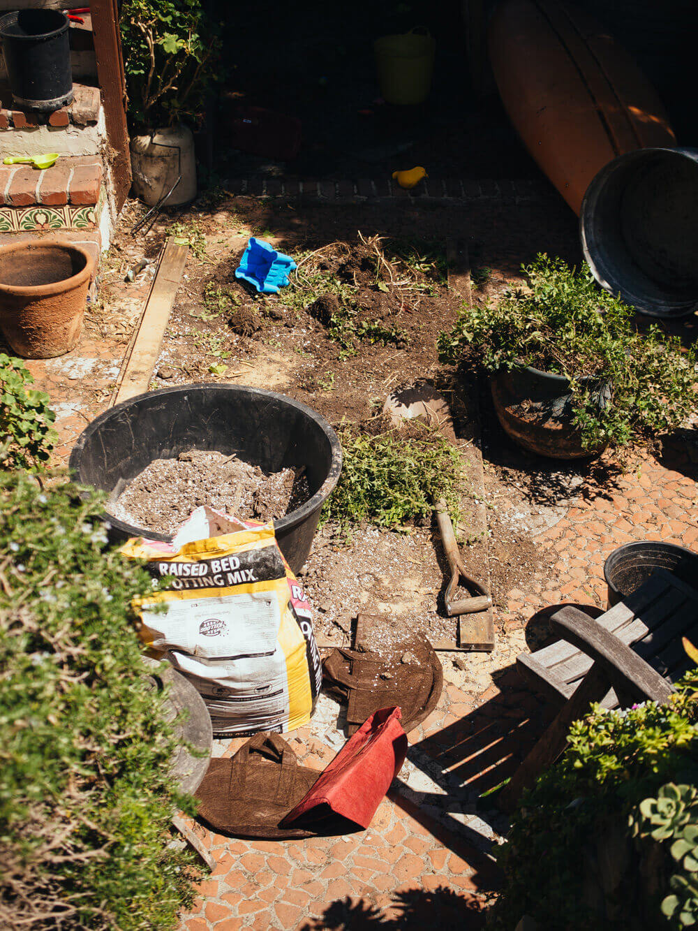 Last-minute clean-up in the garden