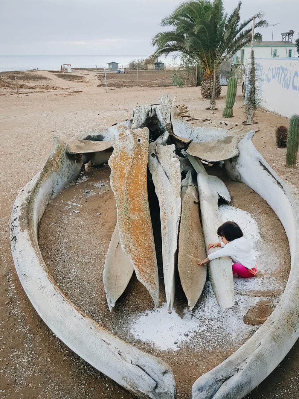 Playing on a whale skeleton