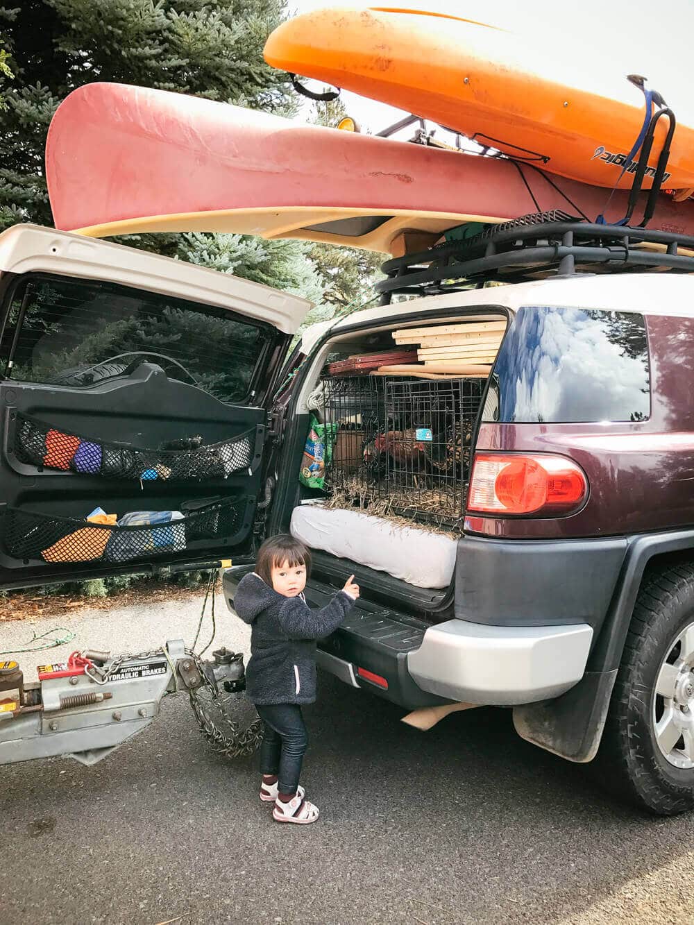 Loading up the chickens in the back of the SUV