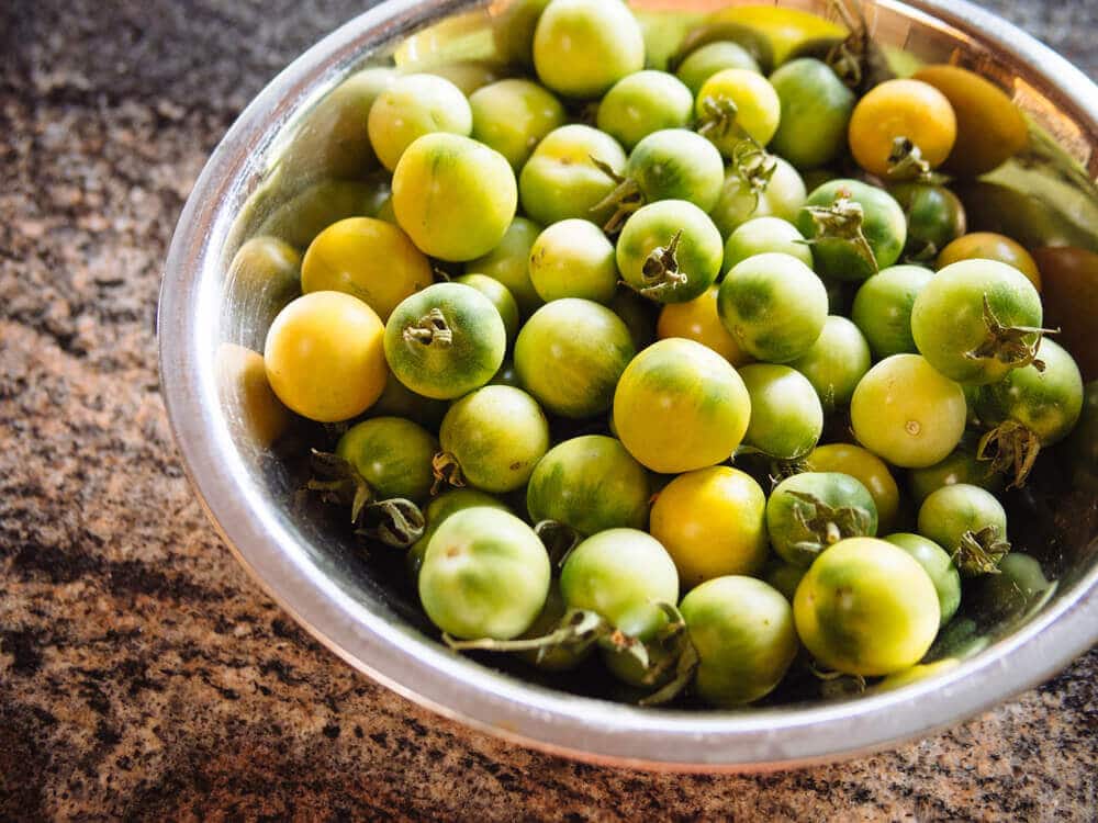 Green unripe tomatoes from the garden