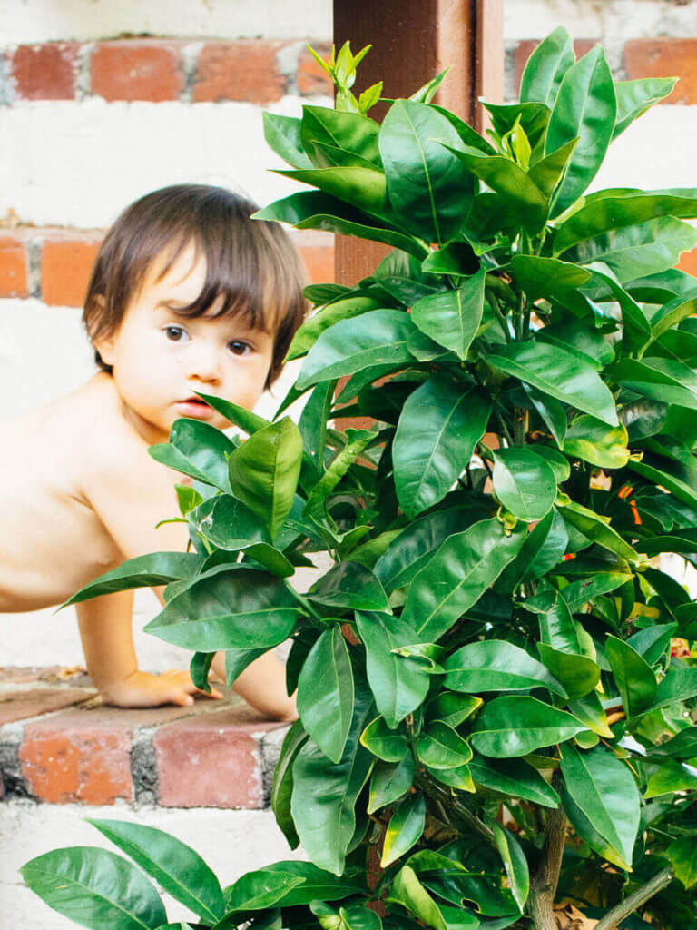 Planting my placenta: an 18-month update