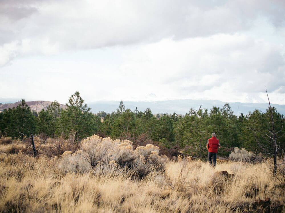 Scouting pine trees for our first Oregon Christmas