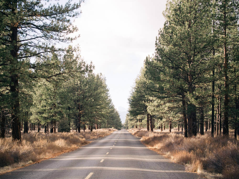 Driving to higher elevation in Deschutes National Forest