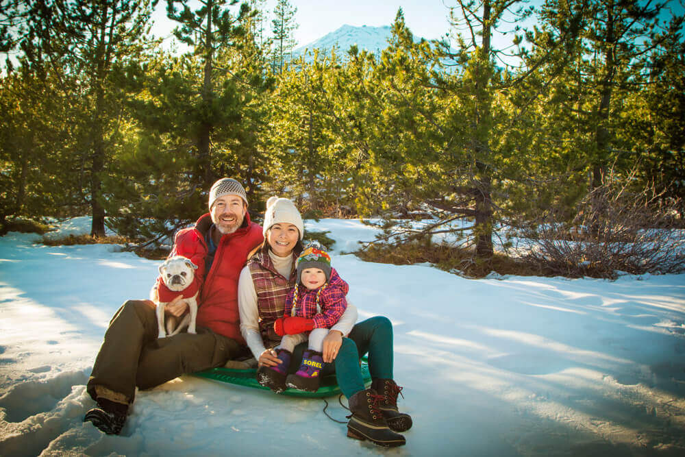 Our 2017 family Christmas picture