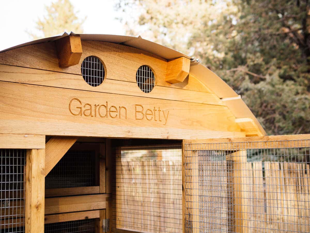 A tour of my new chicken coop
