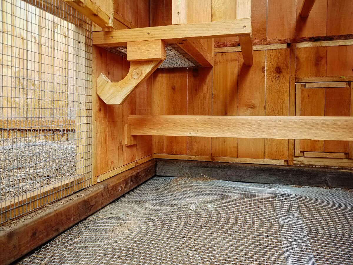 1/2-inch hardware cloth helps deter digging critters