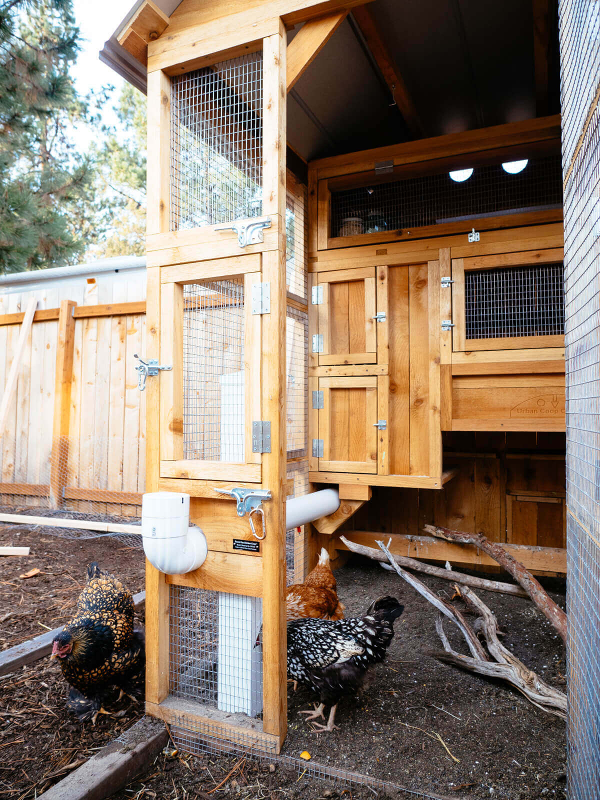 A chicken coop tour