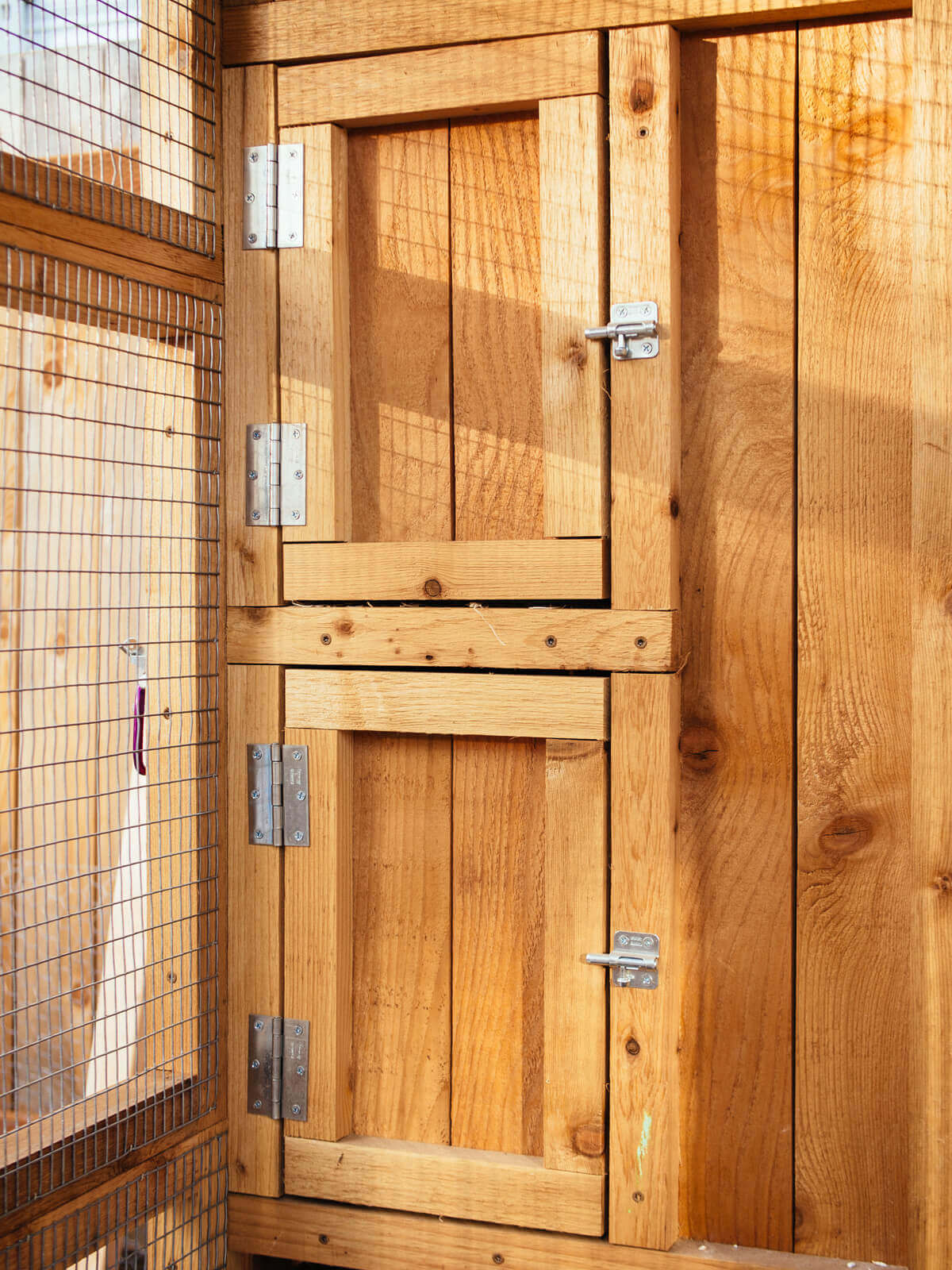 Two doors lead to two nesting boxes