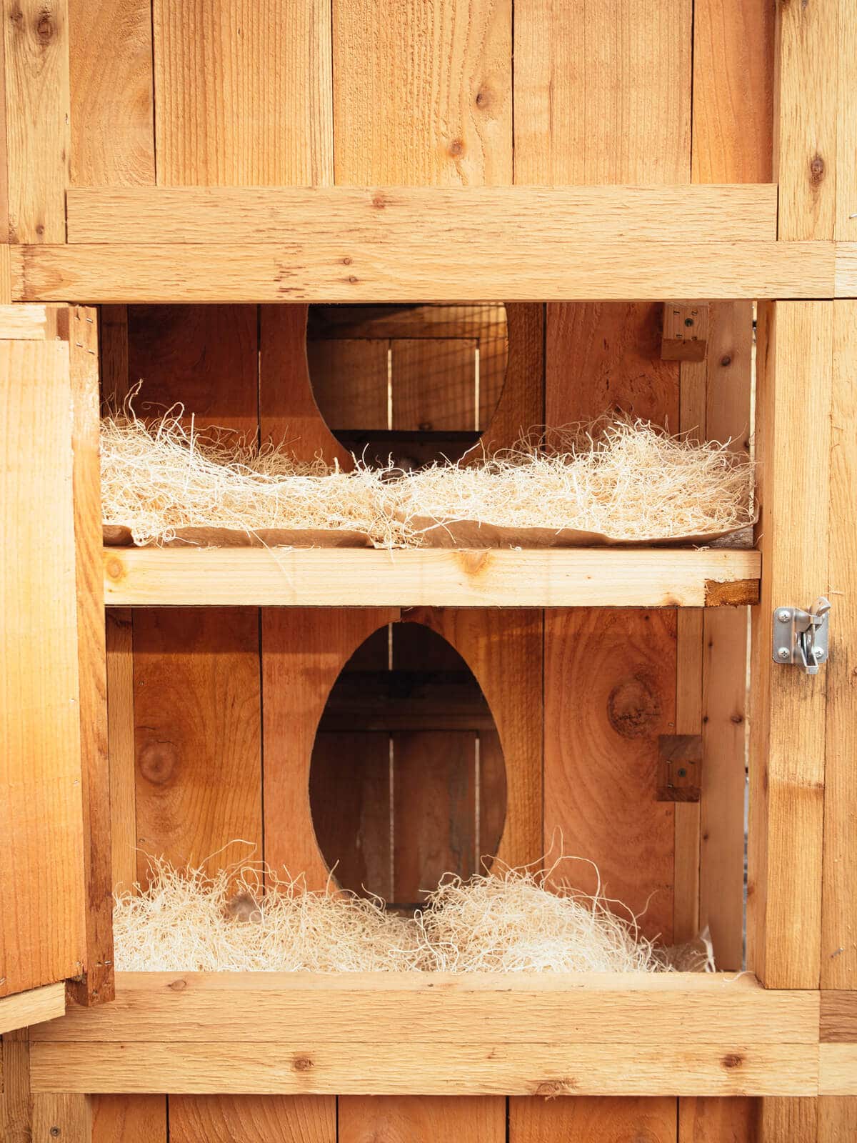 Moisture-absorbing nesting material in the egg boxes