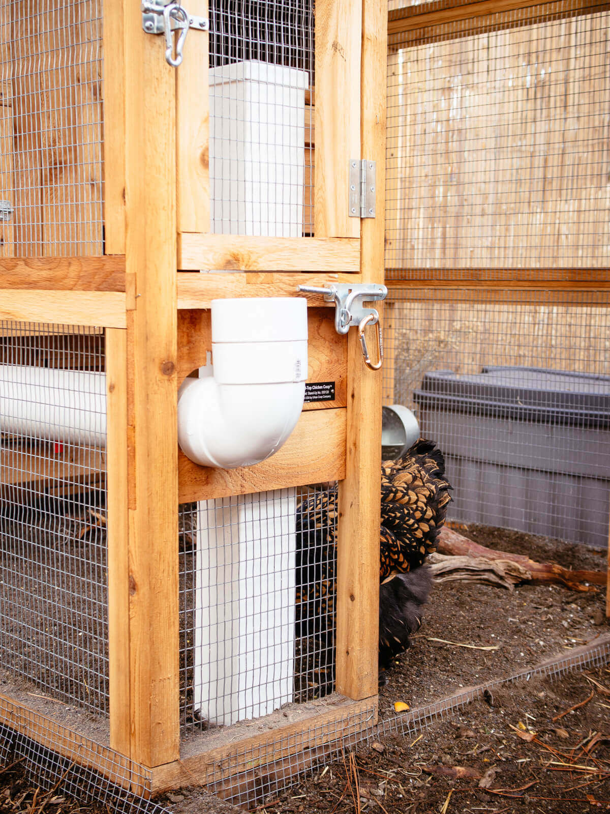 Space-saving no-poop chicken feeder and waterer designs