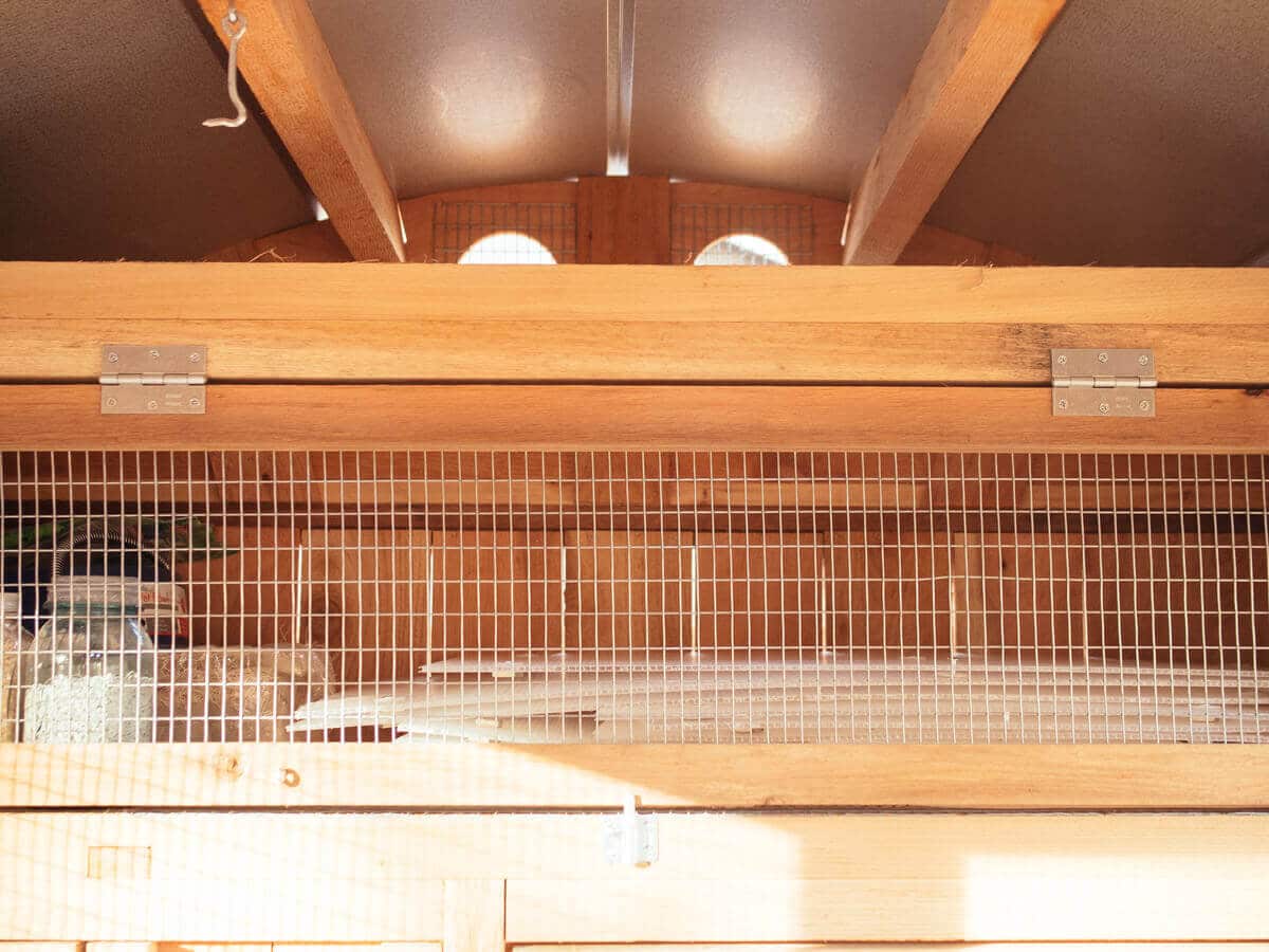 Storage area in chicken coop