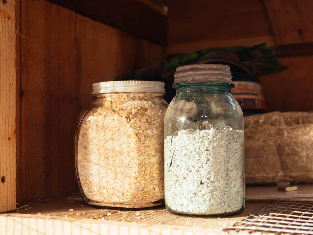 Jars filled with treats and oyster shells