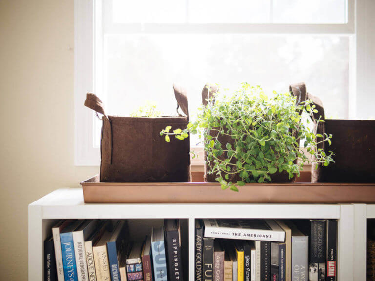 Repurposing a boot tray for houseplants