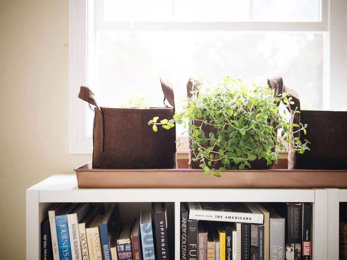 Repurposing a boot tray for houseplants