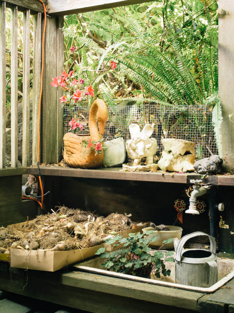 A fall garden checklist for maximizing the season and winterizing your yard