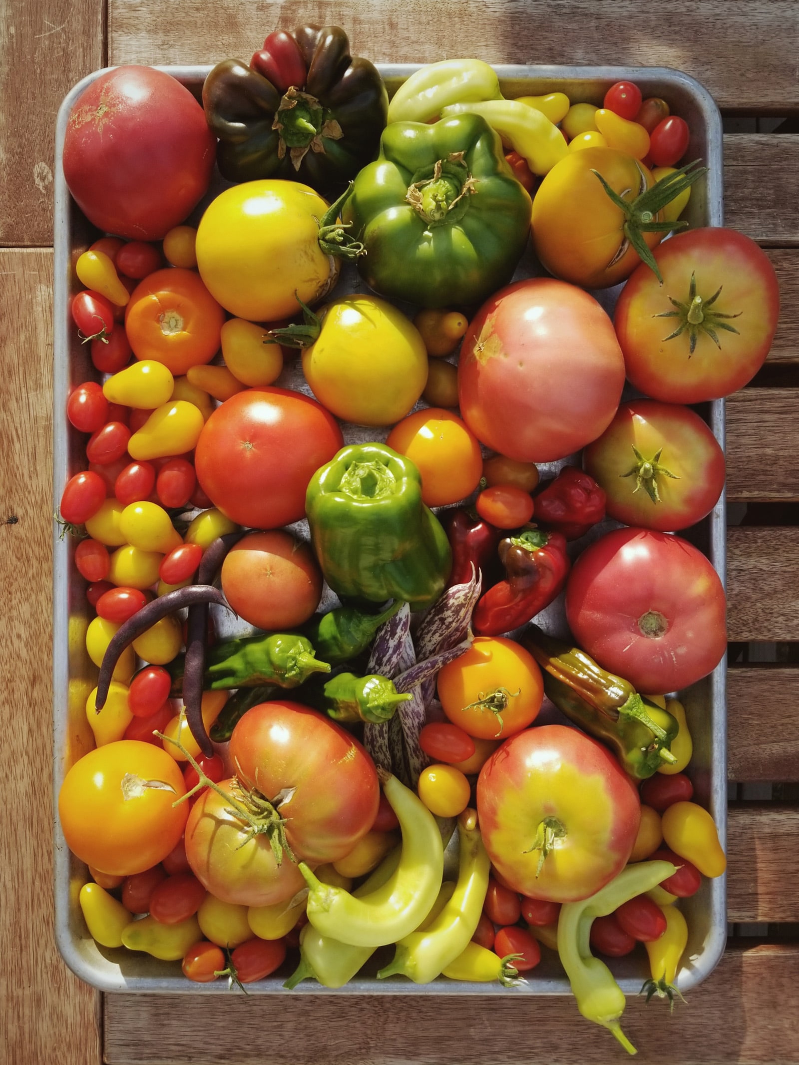 Late-summer garden harvest