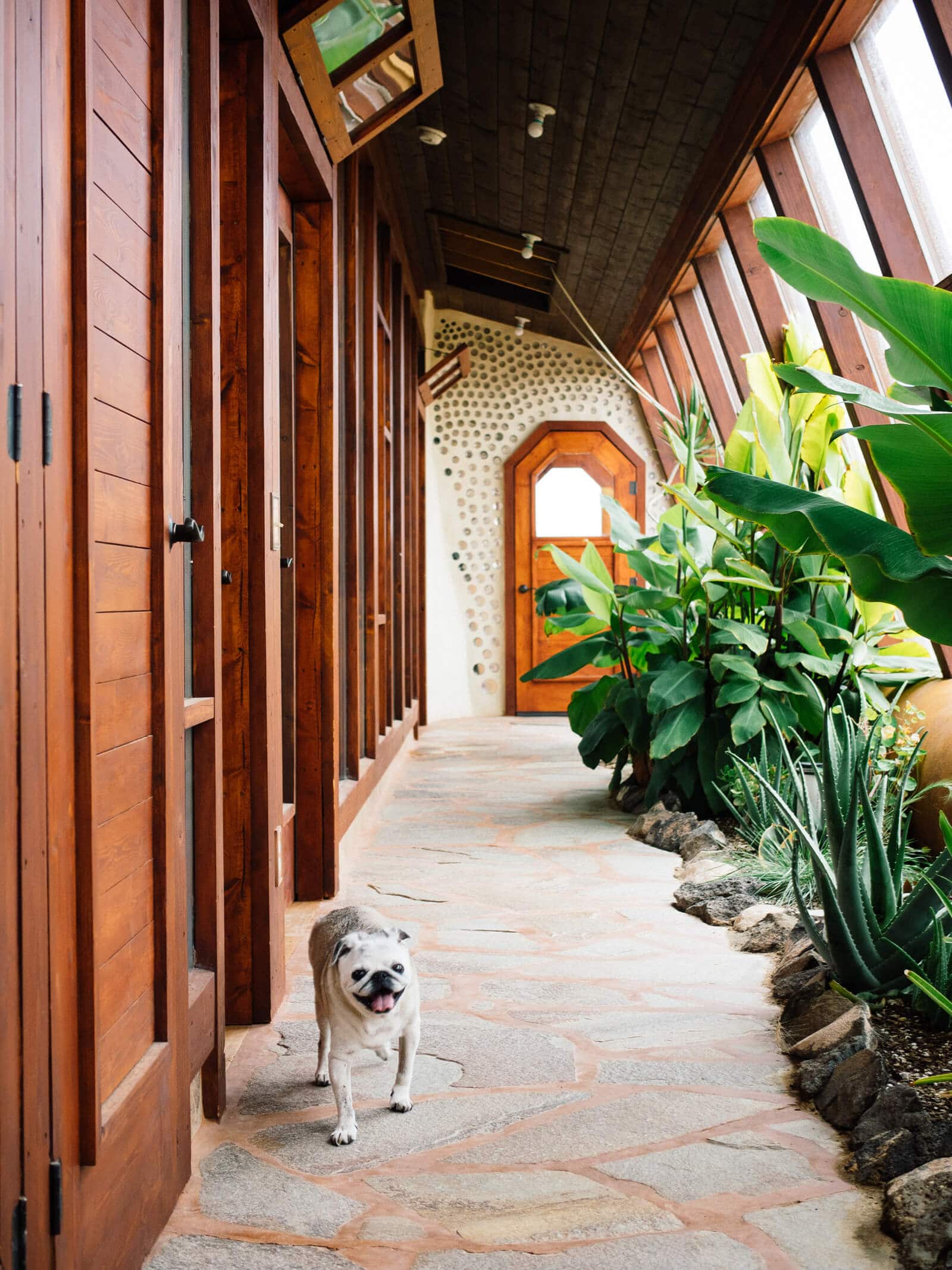 Incorporating a passive solar design in an Earthship with an attached greenhouse and sunroom