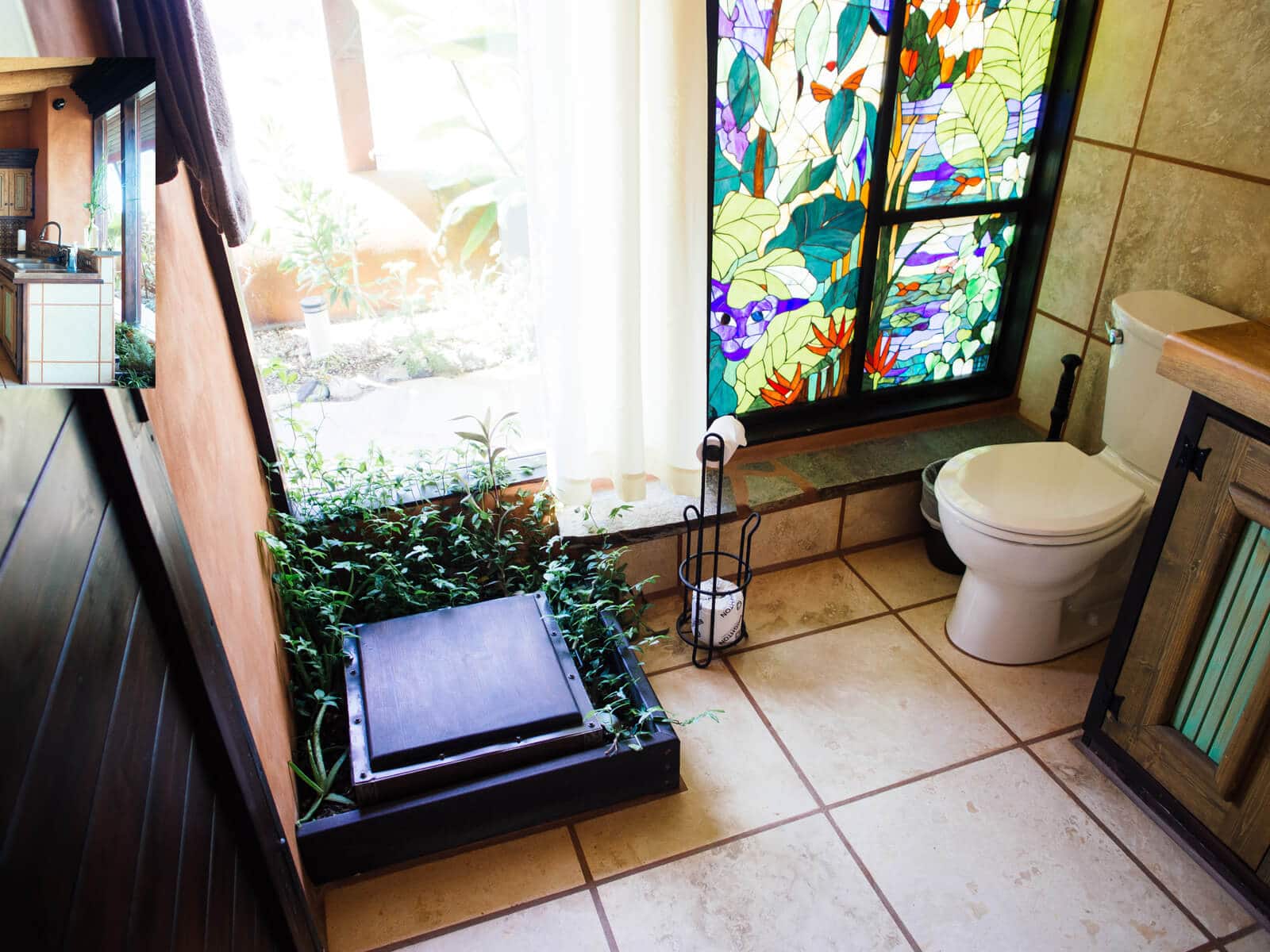 Botanical cell in an Earthship bathroom