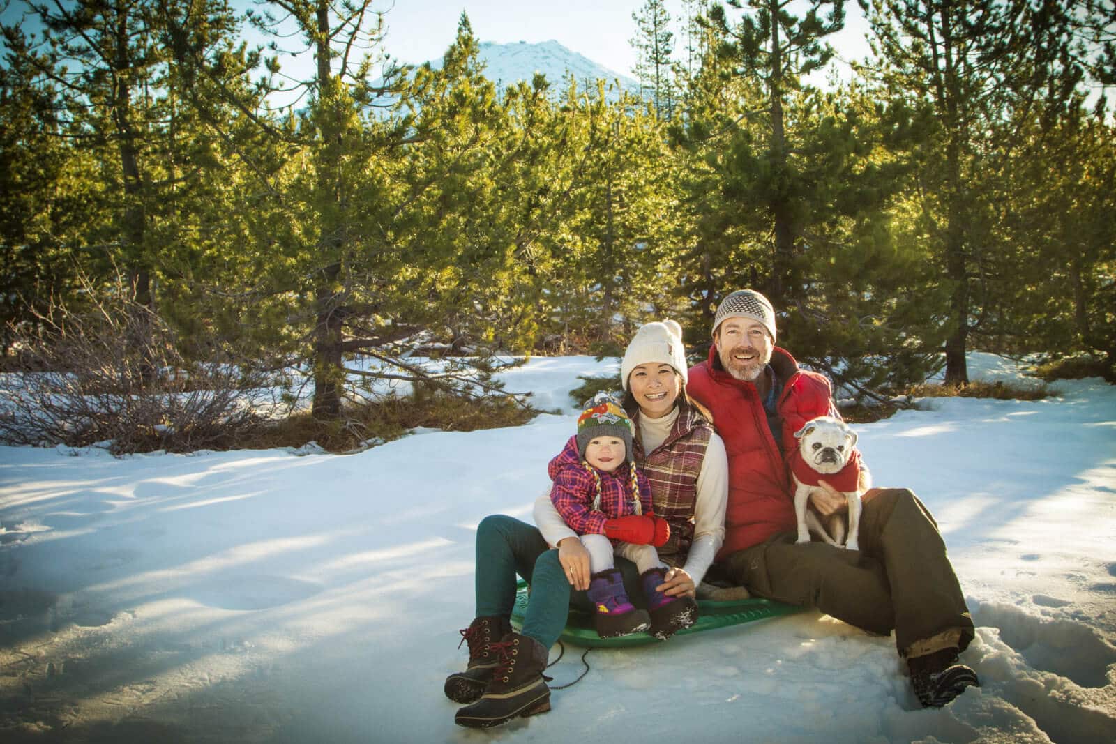Garden Betty's 2017 Christmas photo