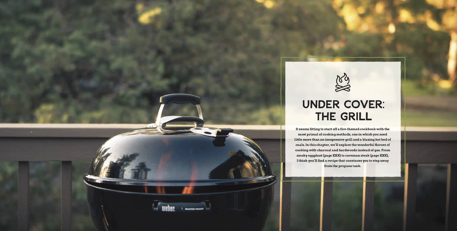 Introduction to charcoal grilling