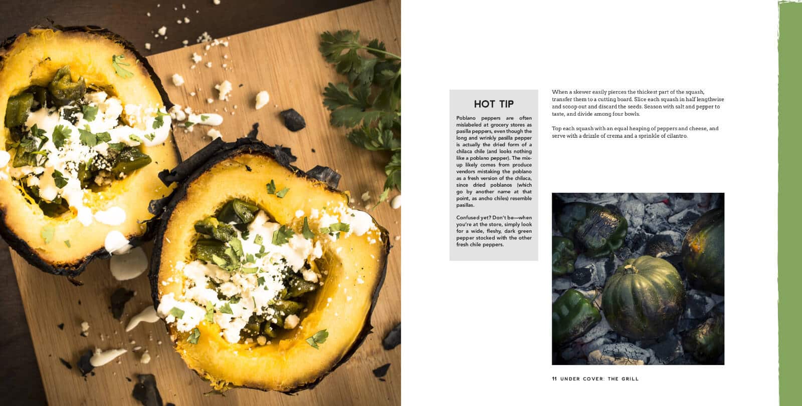 Gorgeous photos throughout The Backyard Fire Cookbook