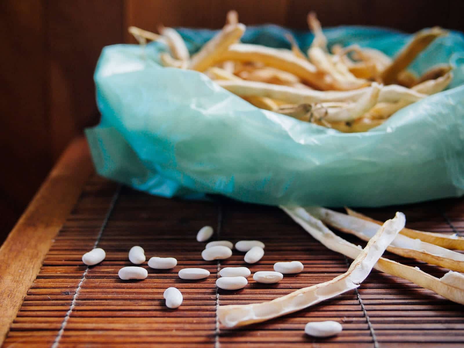 Advice for new gardeners: the best seeds to plant in spring