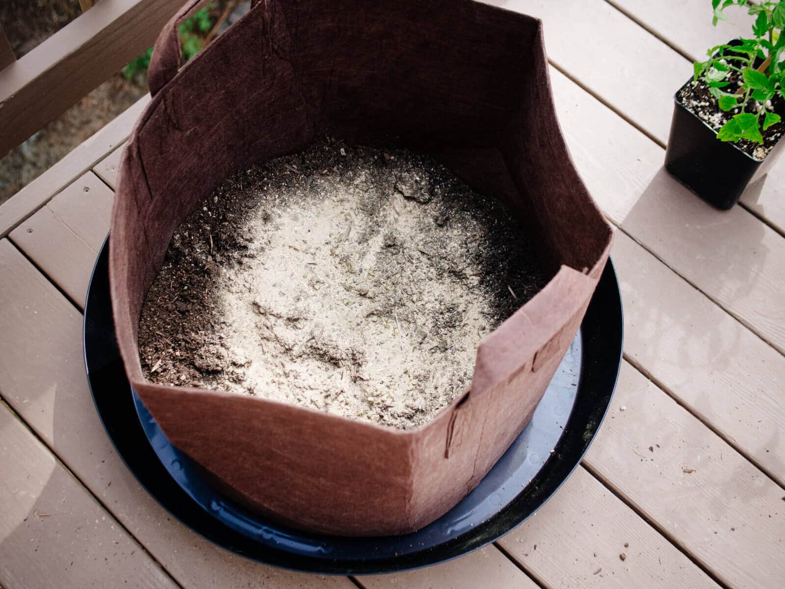 Add amendments to the soil before planting tomatoes in pots