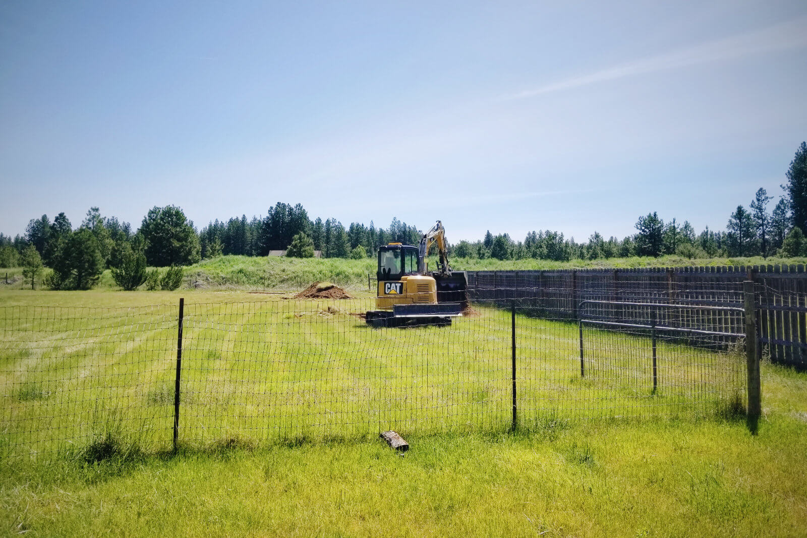 Progress on the Garden Betty homestead