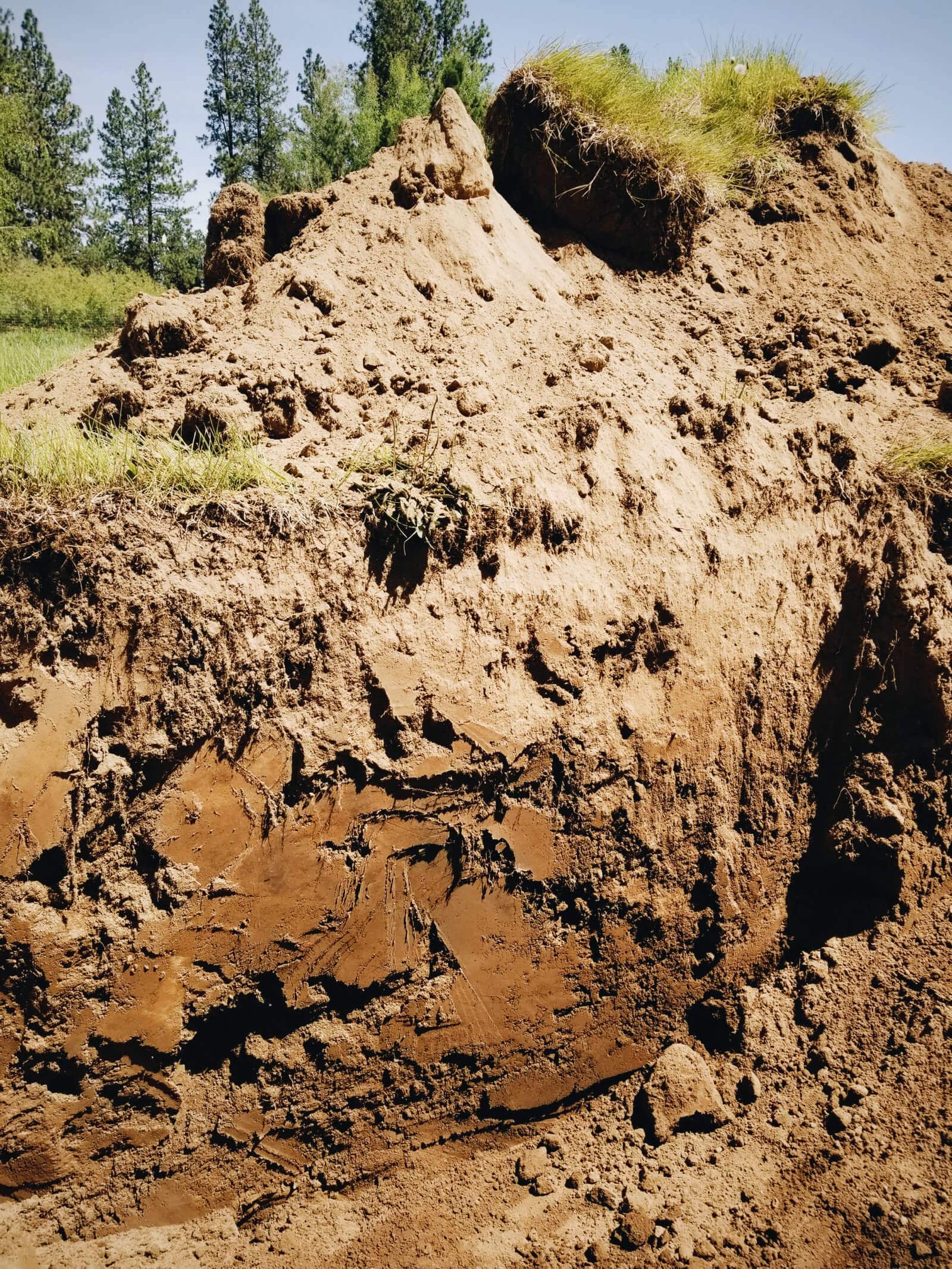We scored with this soft and loamy soil on our land