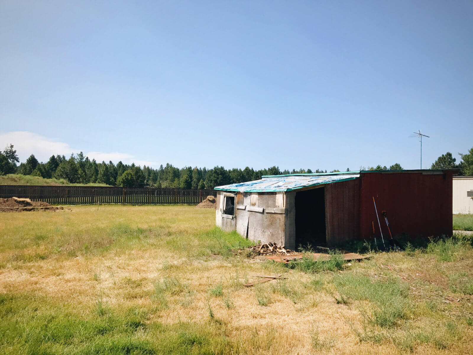 Old wood sheds in the back of our property