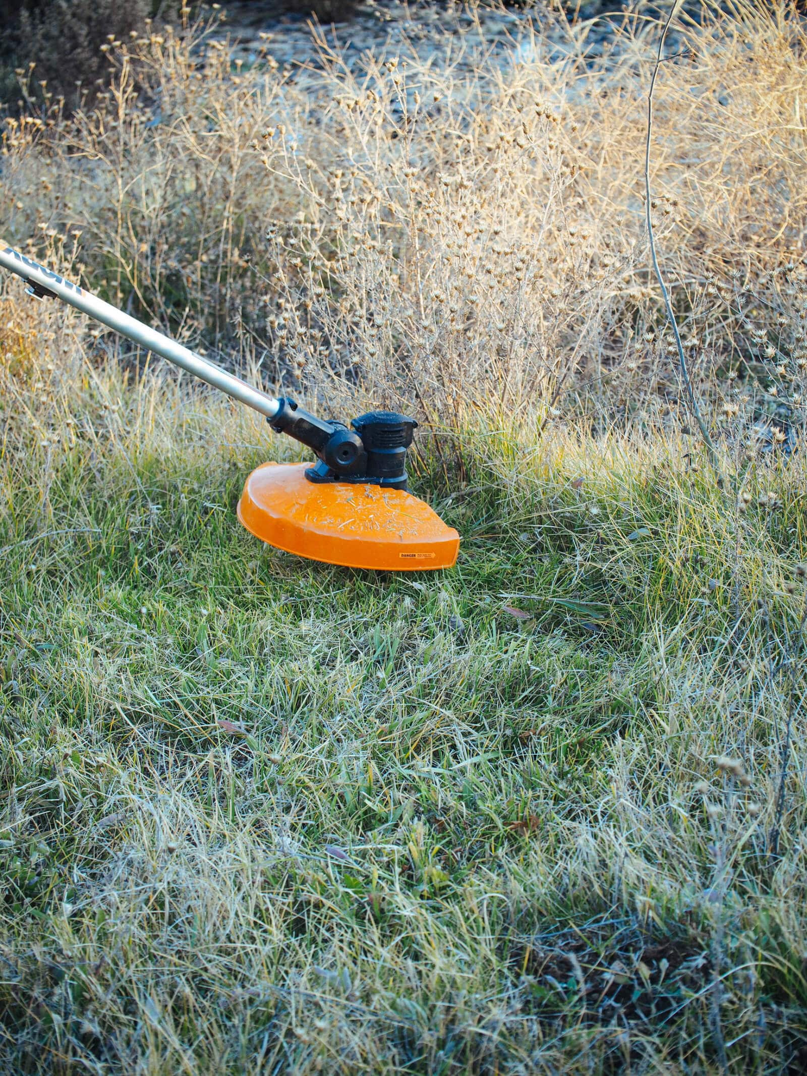 Trimming the overgrown weeds on our lawn