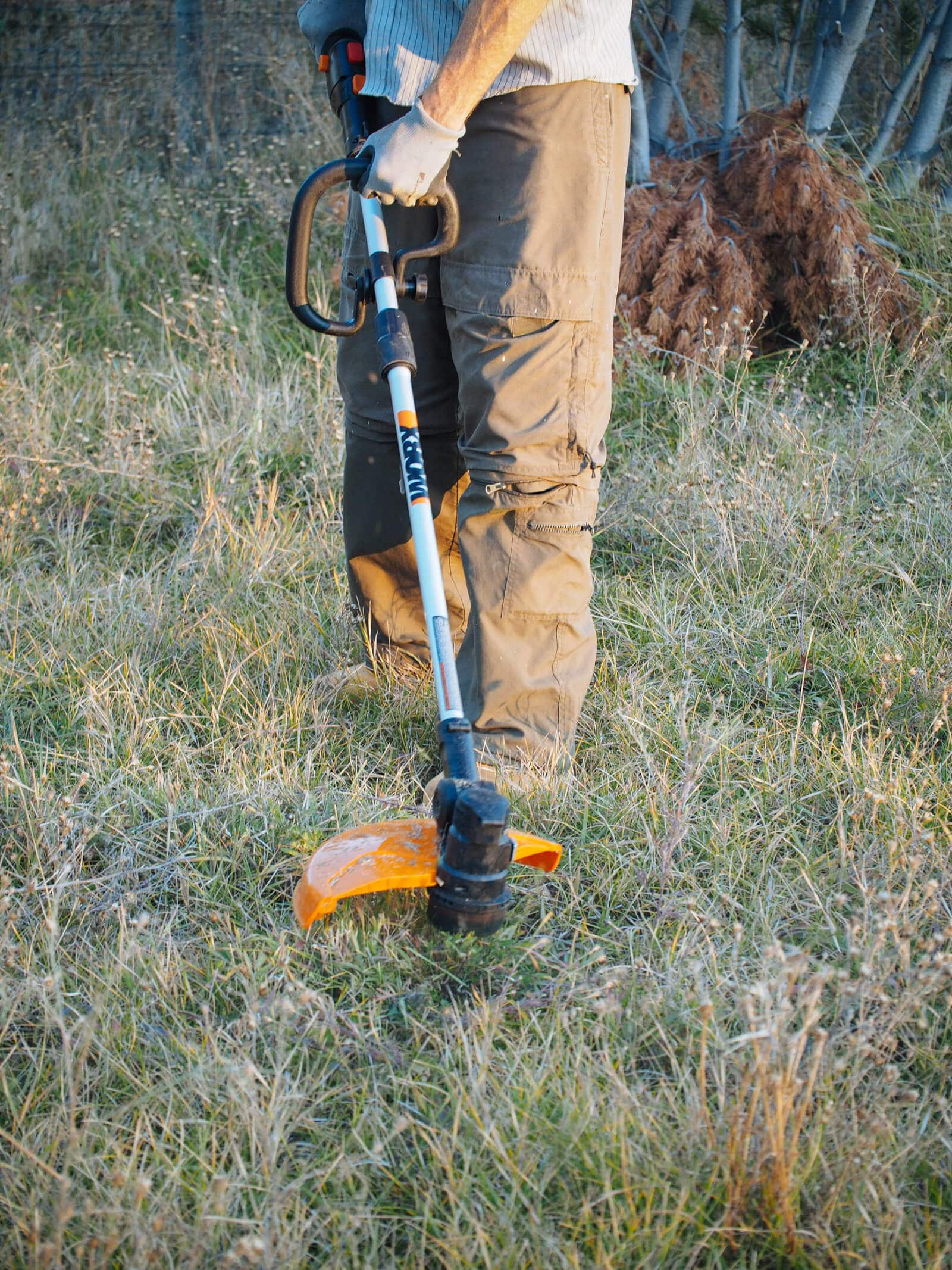 Using a string trimmer to cut the weeds on our lawn