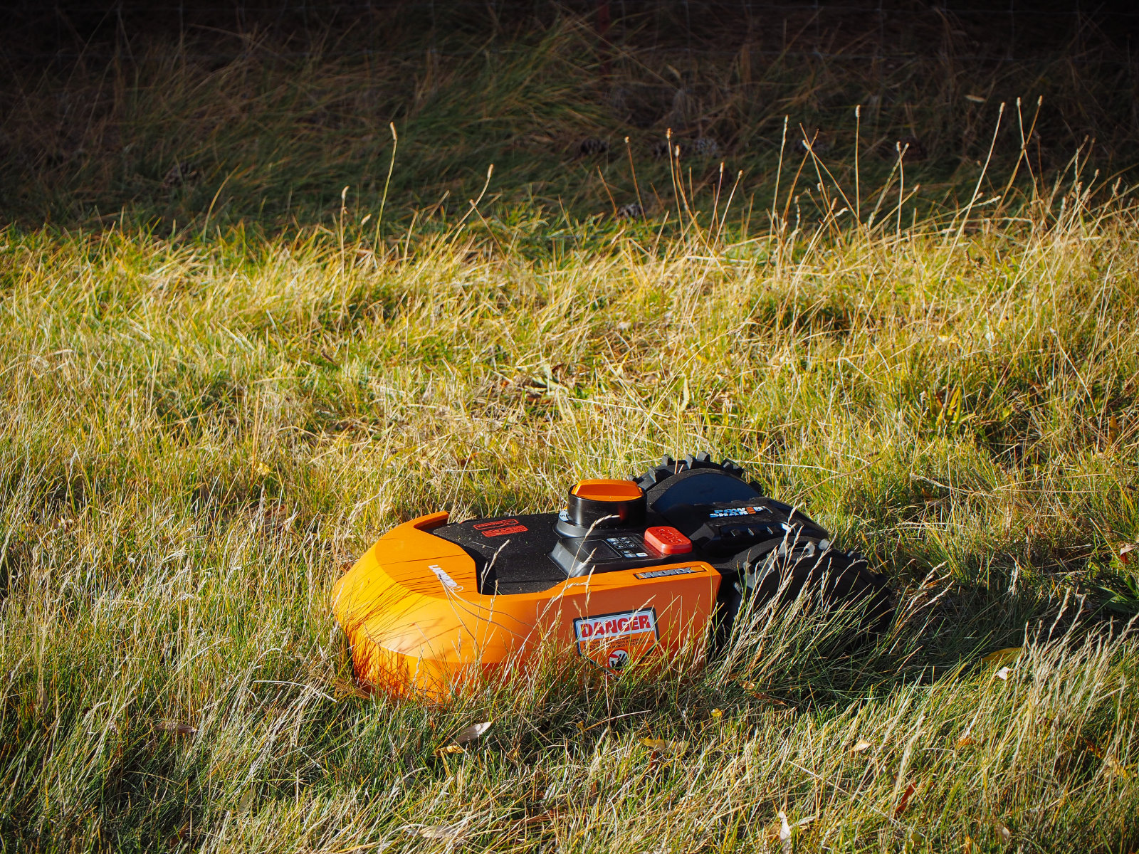 WORX Landroid robotic lawnmower cutting the grass
