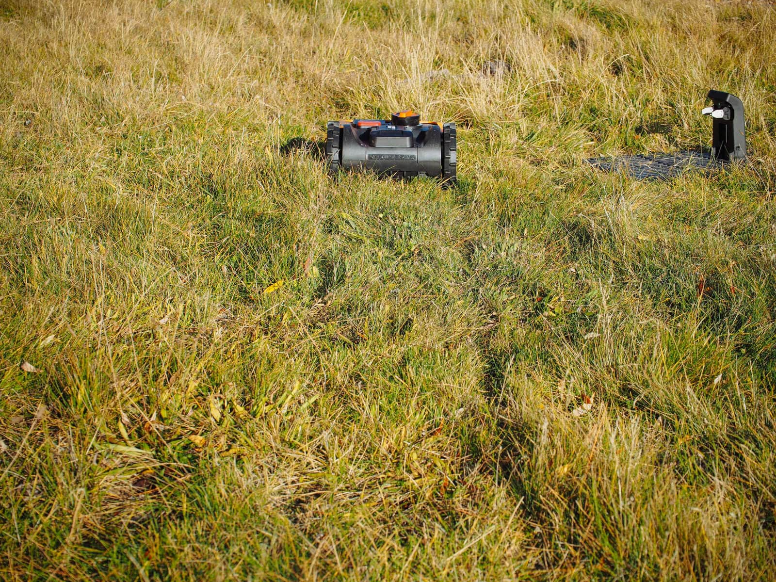 Freshly mowed lawn