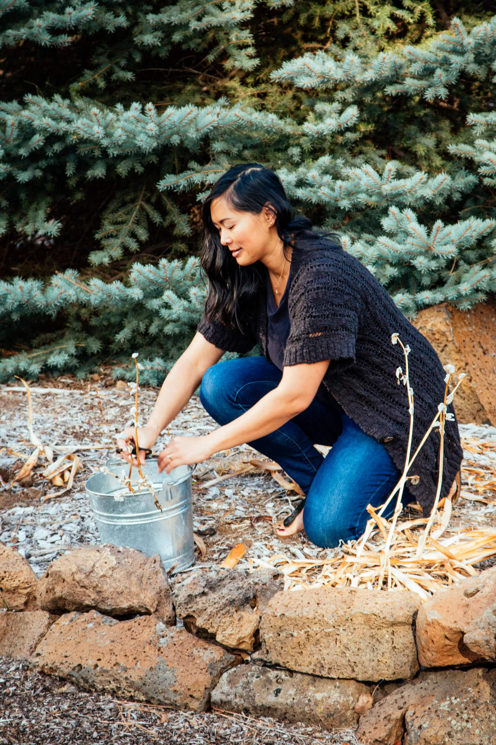 The 10 essential tools no gardener should be without