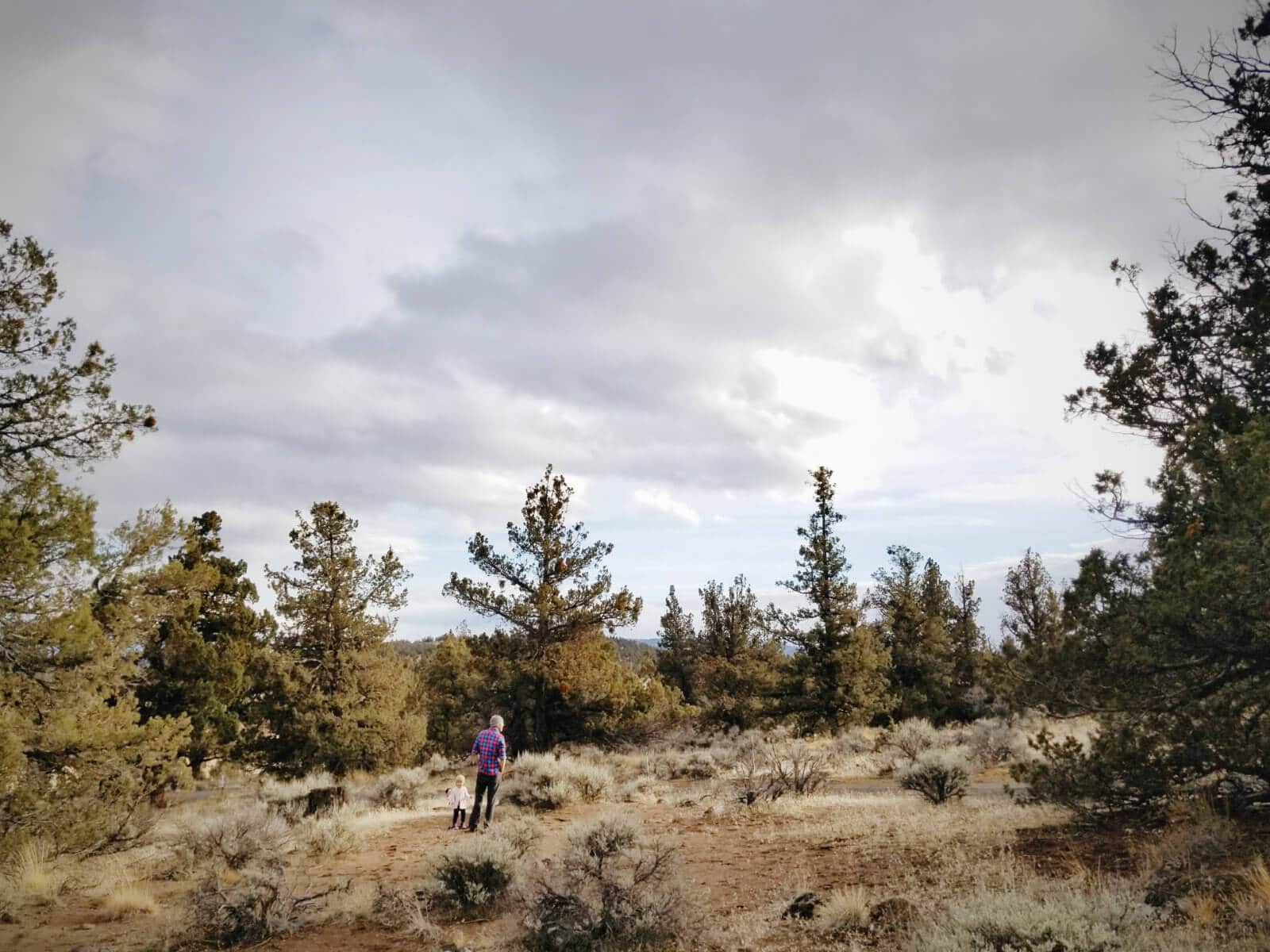 How to find land to build on