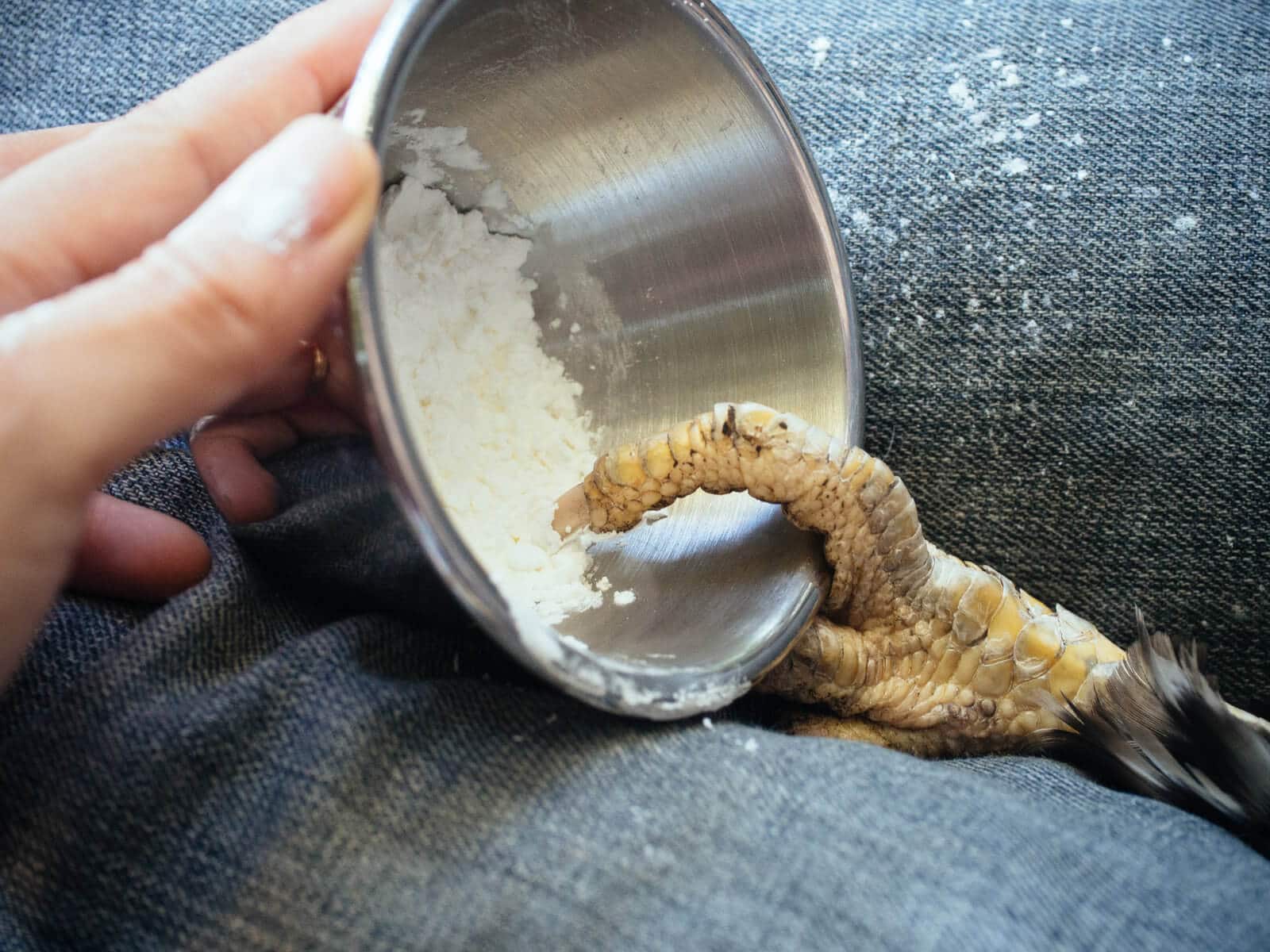 Dip your hen's foot in flour or styptic powder to stop a bleeding nail
