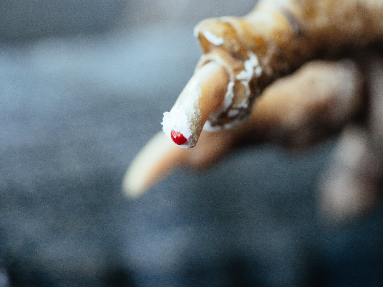 Stop a bleeding quick on the chicken's nail with styptic powder