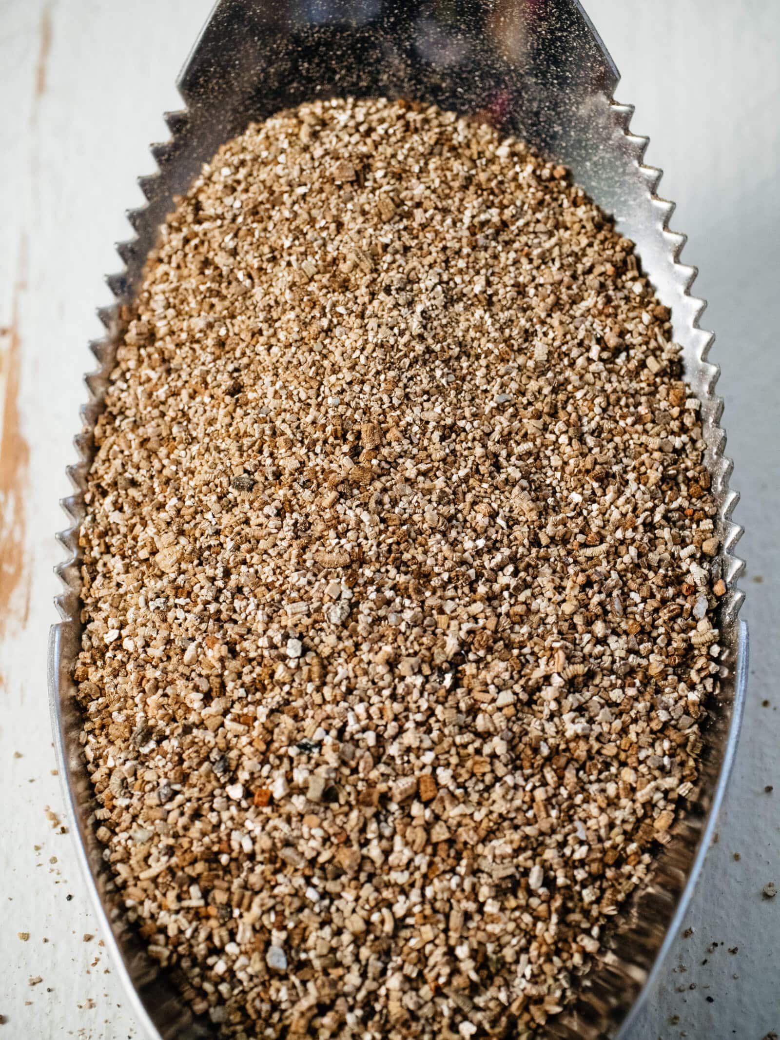 Using vermiculite in the garden