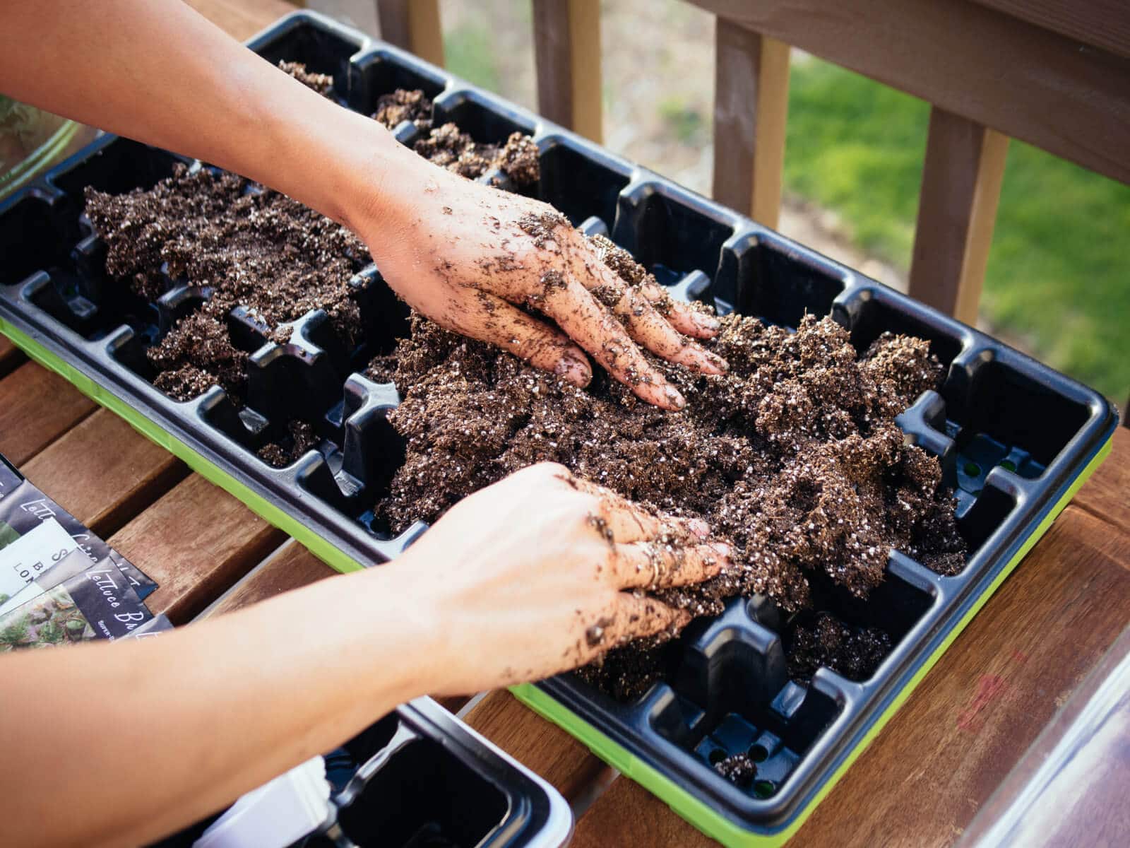 Organic seed starting mix made with perlite, vermiculite, and peat moss