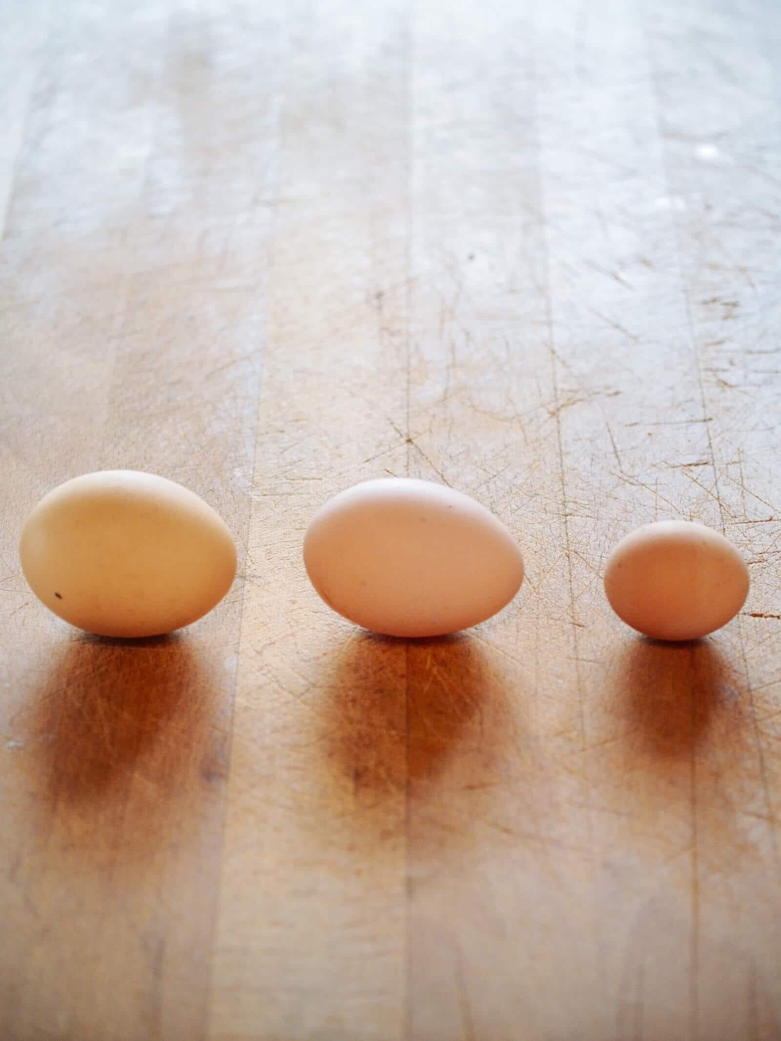 The mystery of the teeny tiny fart egg
