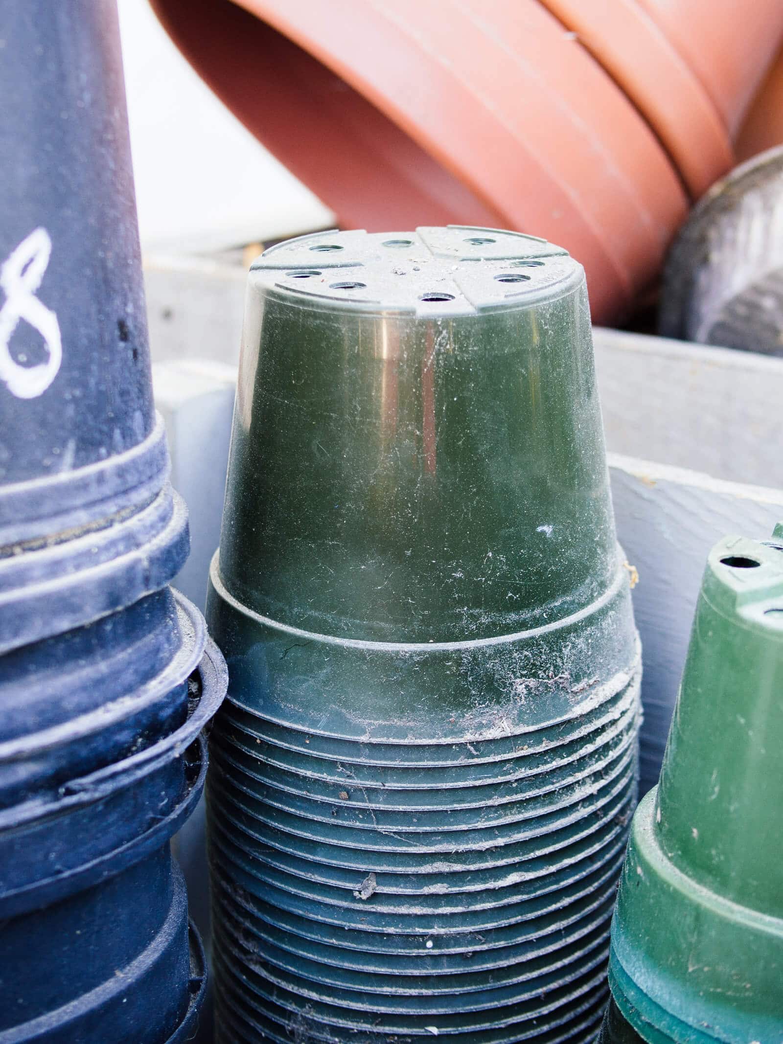 Clean pots are key to reducing the chances of damping off disease