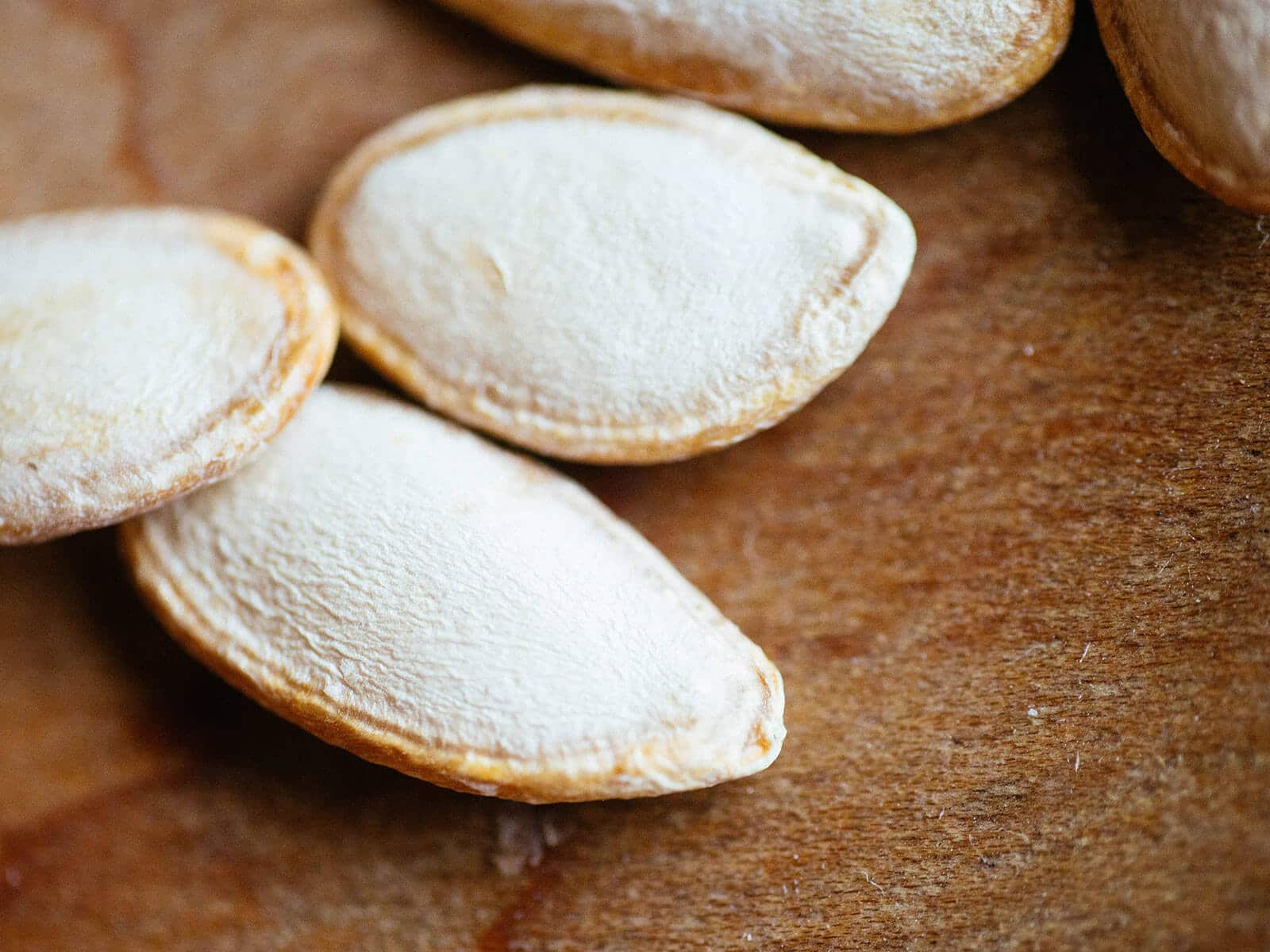 You can germinate squash seeds in a paper towel or coffee filter
