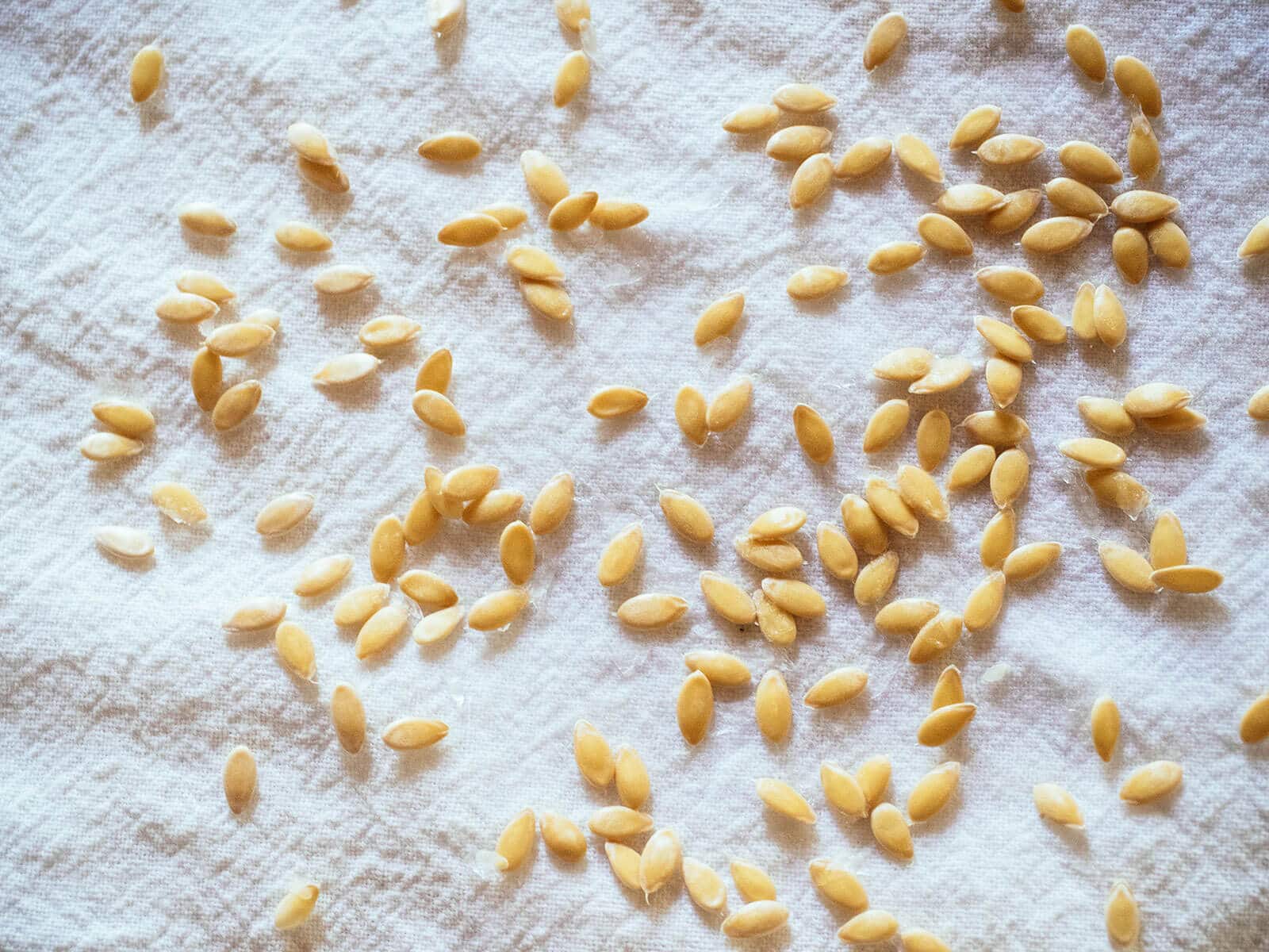 You can germinate cucumber seeds in a coffee filter or paper towel