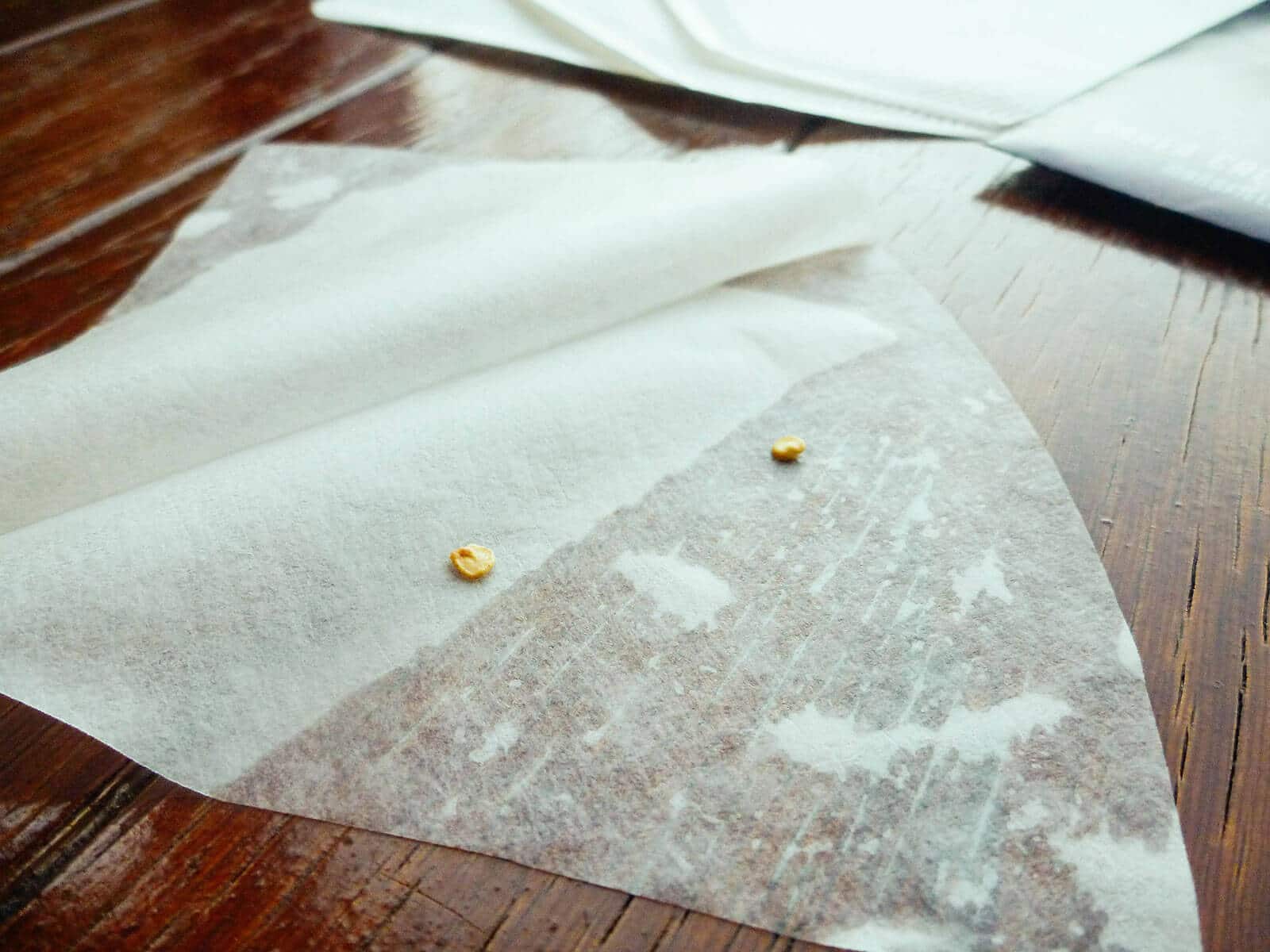 Wet the coffee filter and place the seeds 1 inch apart on the filter
