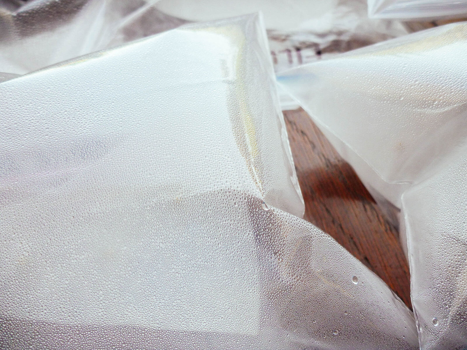 The plastic Ziploc baggies create a mini greenhouse effect for fast seed germination